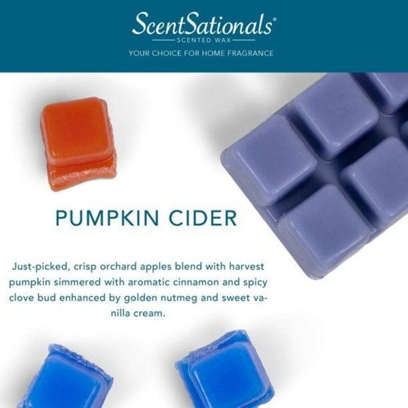ScentSationals 2.5oz Limited Edition Pumpkin Cider Wax Cubes October Fall Scents - Picture 3 of 3